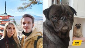 PewDiePie cùng gia đình sang Nhật bằng chuyên cơ riêng, chi hơn 1,8 tỷ VNĐ/chuyến vì không muốn thú cưng chịu khổ