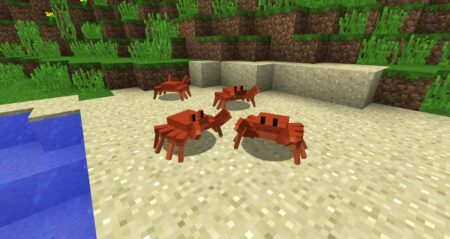 Minecraft, Seed, Crab