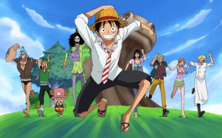 One Piece, tổng hợp thông tin, nhân vật, diễn viên