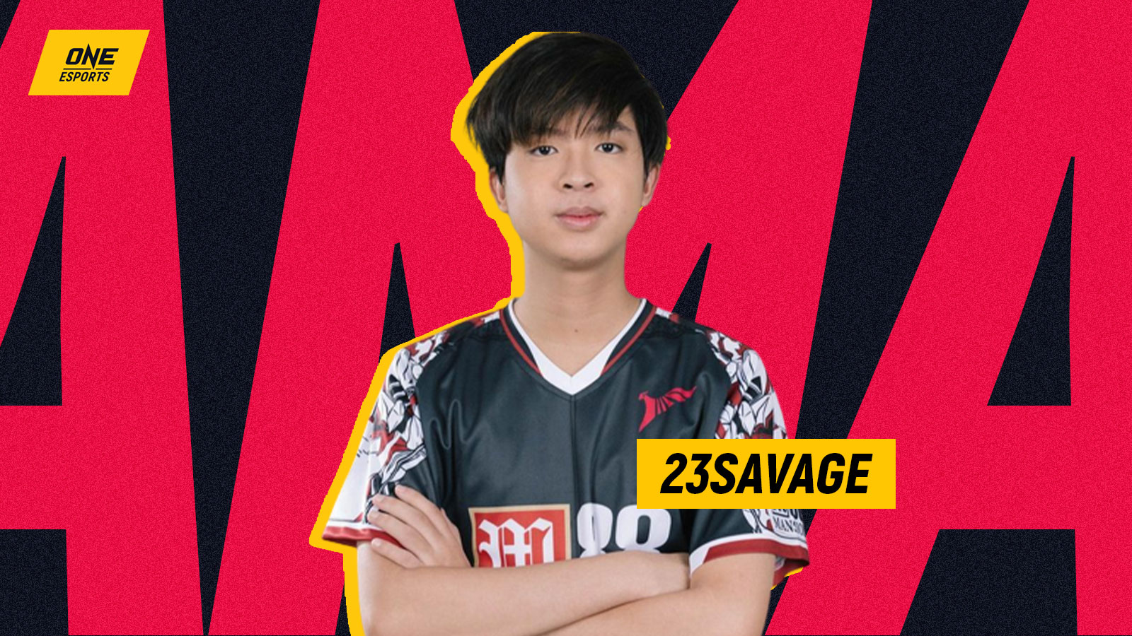 23 savage steam фото 106